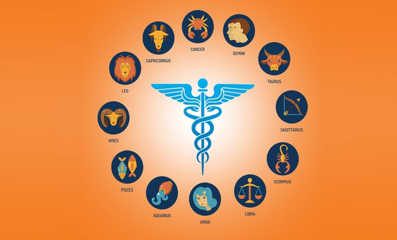 Career Guidance